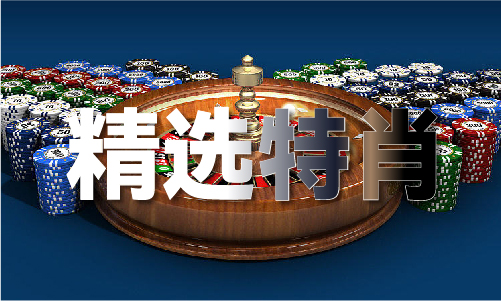 澳门的车牌照是什么样子的