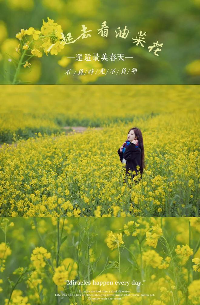 九游娱乐：油菜花海拍照技巧：10个姿势让你拍出高级大片感(图5)