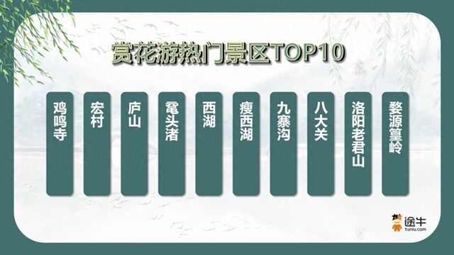 九游娱乐文化：春天的旅张力太浓了南京成清明假期热门旅游目的地