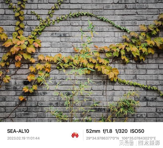 用手机拍出层次感8个手机摄影小技巧掌握一两条就能出大片(图5)