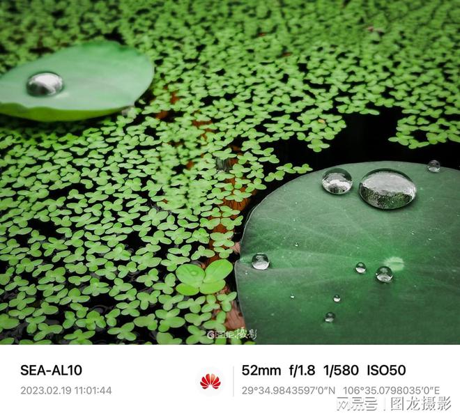 用手机拍出层次感8个手机摄影小技巧掌握一两条就能出大片(图6)