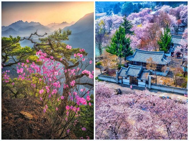九游娱乐文化：7句大白话摄影口诀新手也能拍美风景照片超级好学