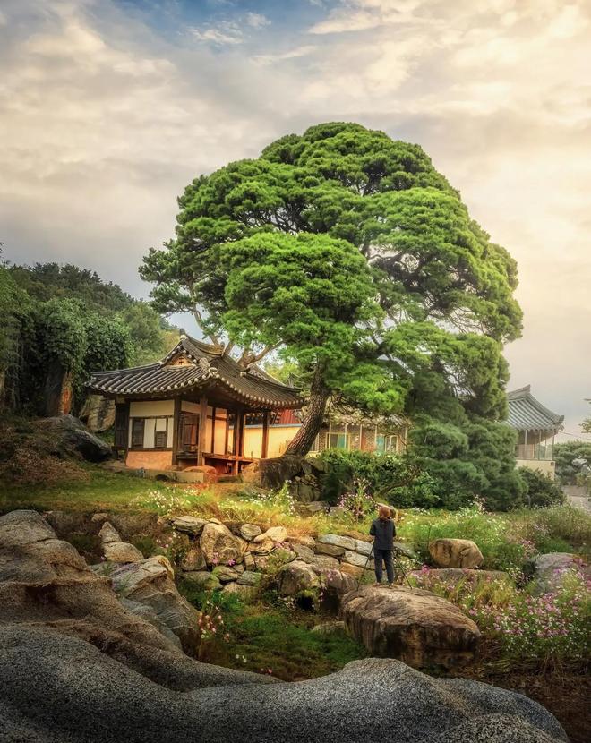 九游娱乐文化：7句大白话摄影口诀新手也能拍美风景照片超级好学(图3)