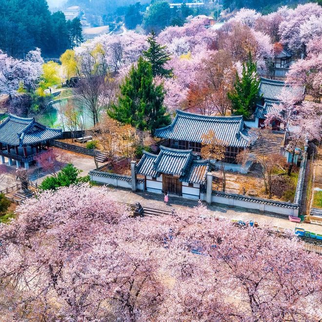九游娱乐文化：7句大白话摄影口诀新手也能拍美风景照片超级好学(图5)