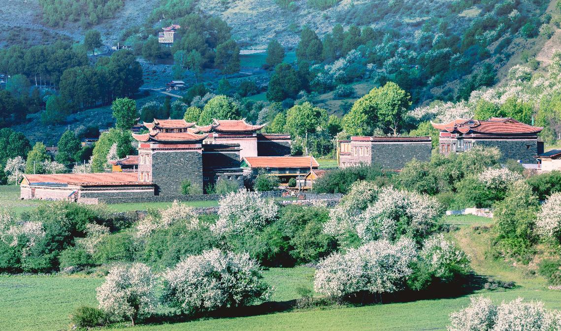 今年入夏以来甘孜旅游为何持续火爆？(图8)