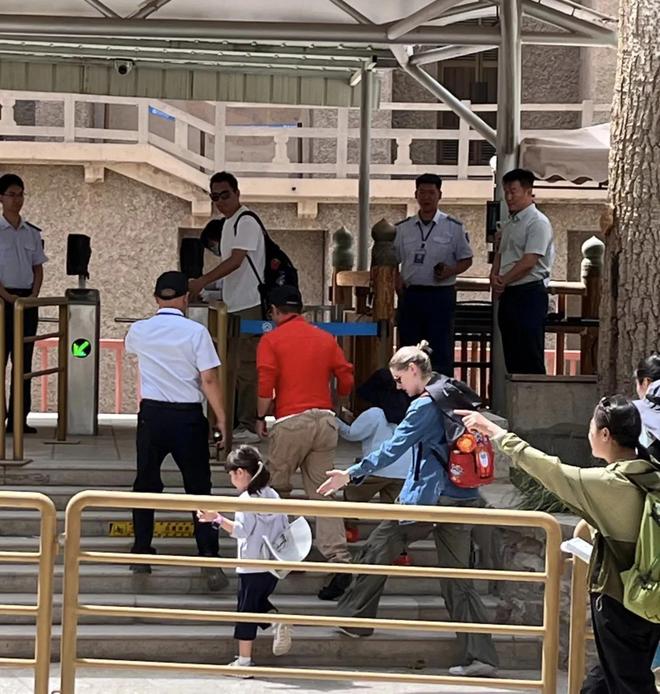 九游娱乐：撒贝宁和家人游览莫高窟一对龙凤胎非常可爱李白身材高挑好美(图3)