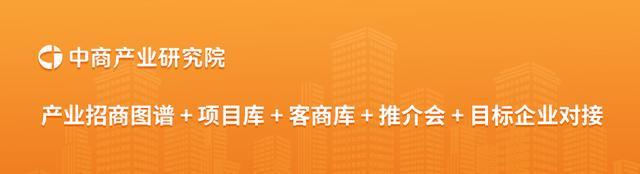 2025年中国汽车后市场行业市场前景预测研究报告(图19)