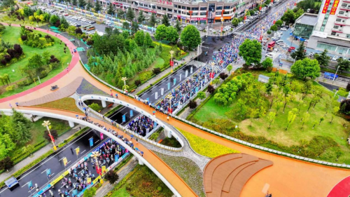 2025年西藏林芝南迦巴瓦高原体育大会奇正藏药-林芝半程马拉松圆满落幕！(图6)