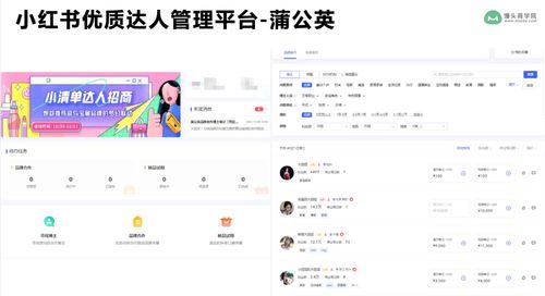 初次直播做什么项目赚钱