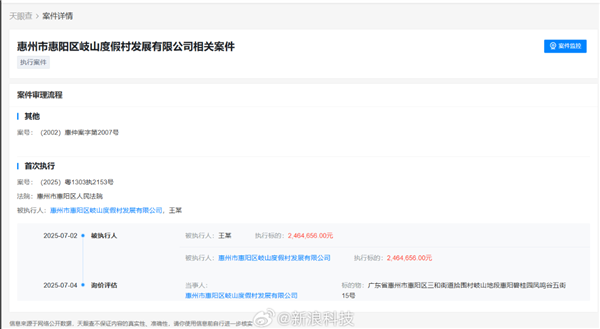 进军AI领域二次创业后王自如再成被执行人执行标的超246万(图2)