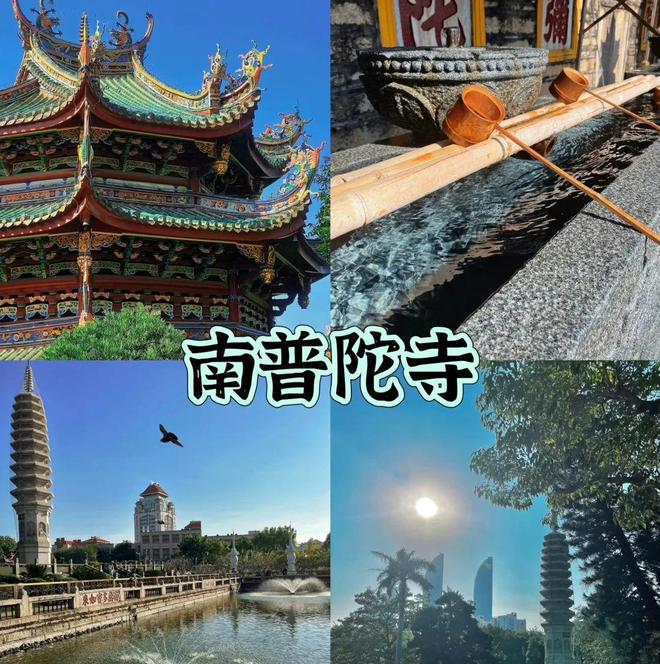 九游娱乐：2025厦门旅行社前十名名单公布：暑期厦门旅行社联系方式分享(图2)