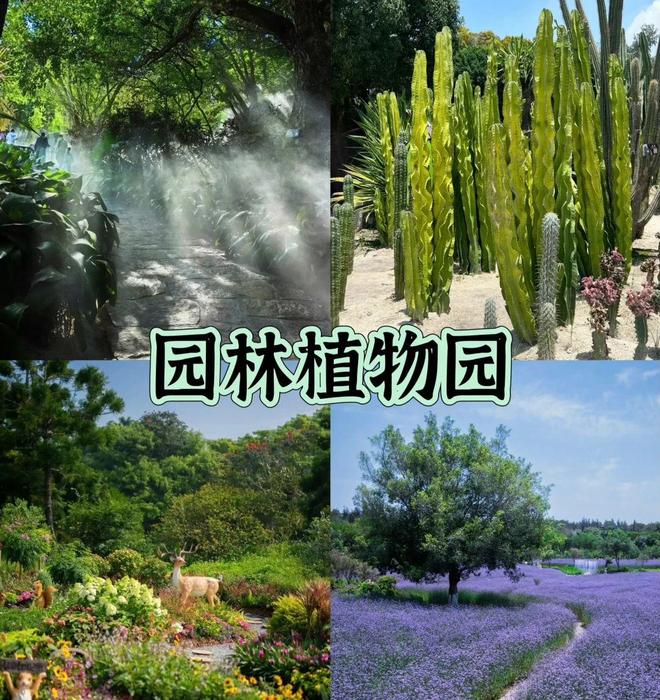 九游娱乐：2025厦门旅行社前十名名单公布：暑期厦门旅行社联系方式分享(图3)