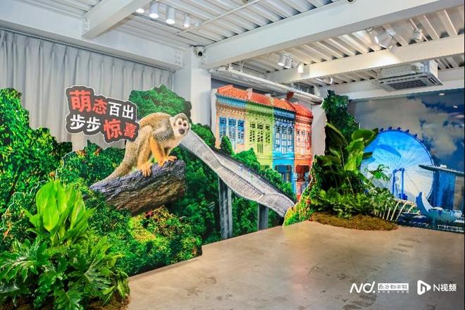 一片金黄满眼春(图3)