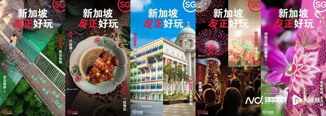 一片金黄满眼春