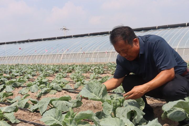 九游娱乐文化：细节里的“和合与共”(图6)