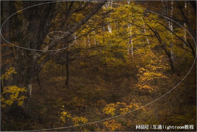 风景摄影技巧：构图和拍摄攻略(图3)