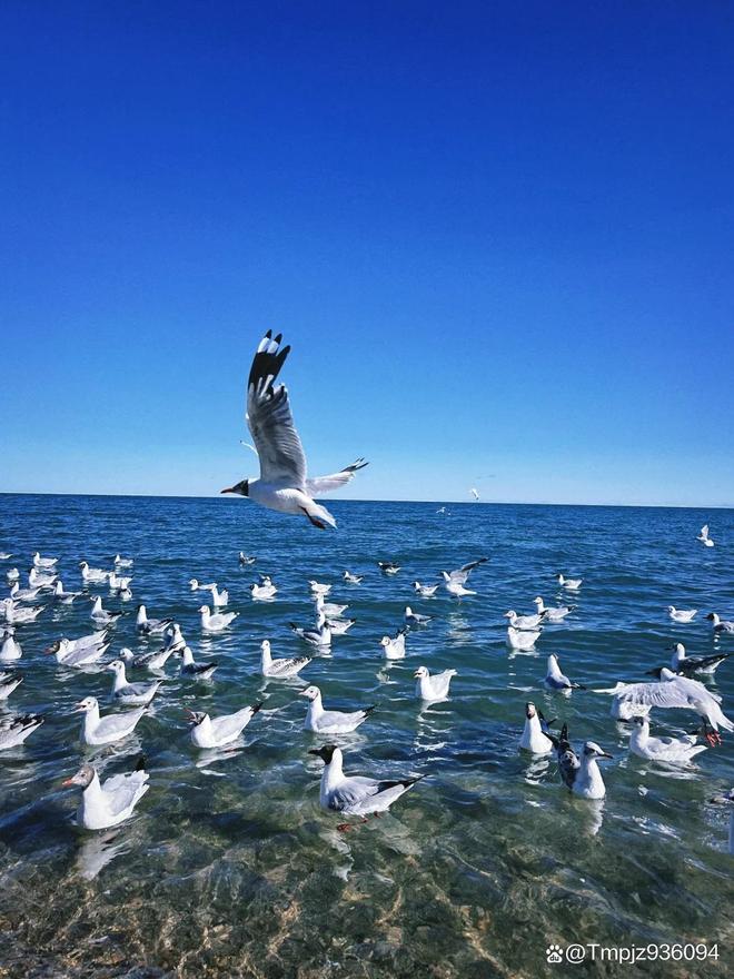 九游娱乐文化：青海5天4晚旅游价格青海本地私人电话号码(图3)