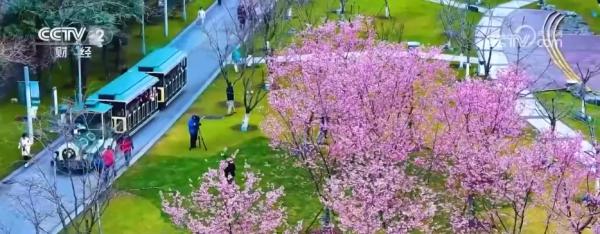 多地首个春假即将开启文旅交通暖心“大礼包”助力出游(图2)