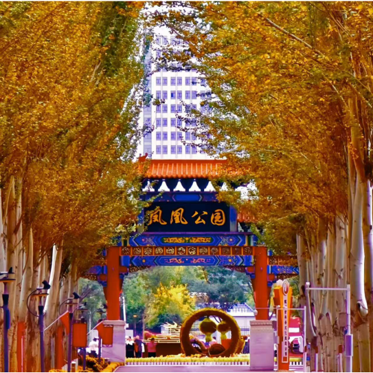 最全打卡攻略！银川2026年赏花观叶月历来了(图6)