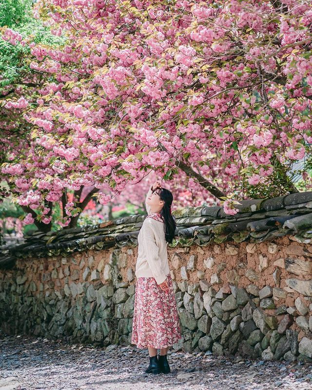 5句摄影口诀拍美人像照片日常生活摄影拿去用吧(图4)