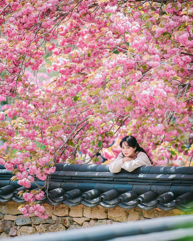 5句摄影口诀拍美人像照片日常生活摄影拿去用吧(图5)