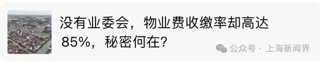 @金山人就等你投出关键一票(图11)