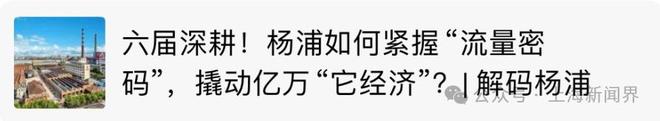 @金山人就等你投出关键一票(图7)