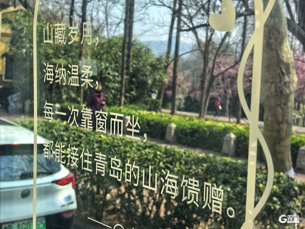 “公交+旅游”串起山海浪漫！青岛巴士“季节+场景”服务上新(图5)