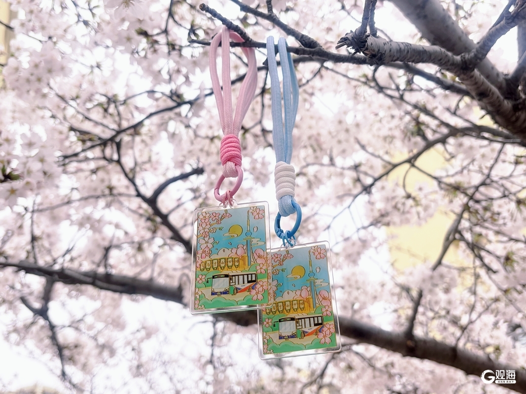 “公交+旅游”串起山海浪漫！青岛巴士“季节+场景”服务上新(图8)