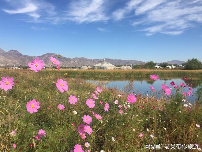 2024内蒙古旅行社深度评测：数据揭秘TOP8地接社(图3)