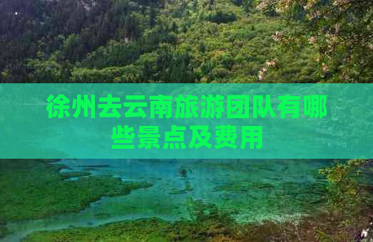 “徐州去云南旅游团队有哪些景点及费用