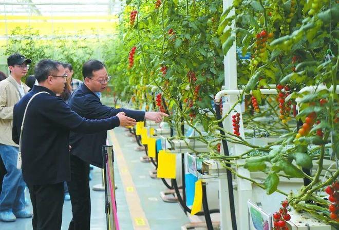 九游娱乐文化：全国晚报社长总编“丝绸寻踪源点南充”调研活动在南充高坪举行(图3)